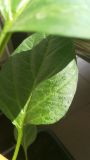 IMG_20190526_101951