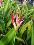 IMG_20190525_180236