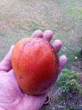IMG_20190531_171432
