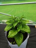 IMG_20190608_130020