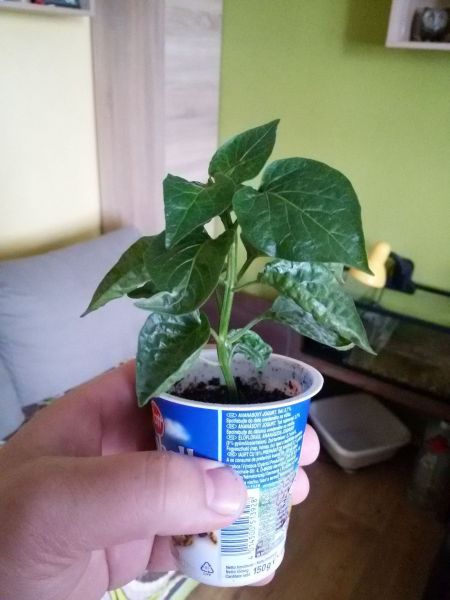 20190610_134414