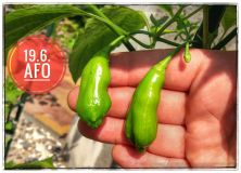 IMG_20190619_100611-01