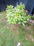 IMG_20190624_084842