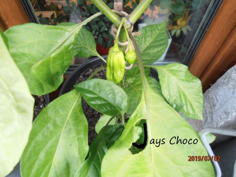 P7020151
