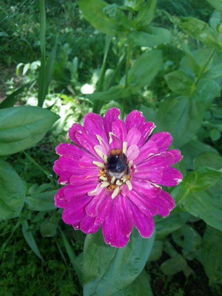 IMG-20190630-WA0002