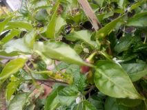 IMG_20190709_145553