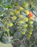 IMG_9433_04_07