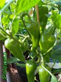 IMG_20190717_091434