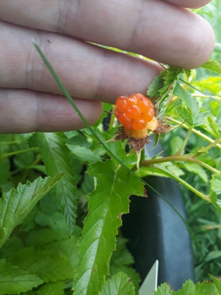 20190722_164701