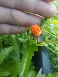 20190722_164701