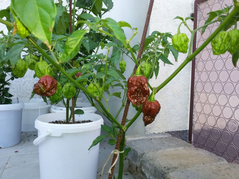 20190723_184034