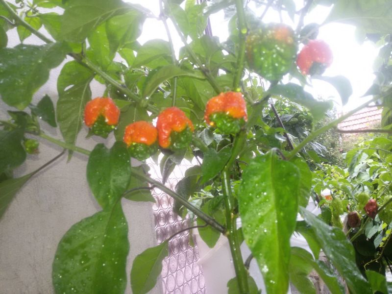 20190727_140219
