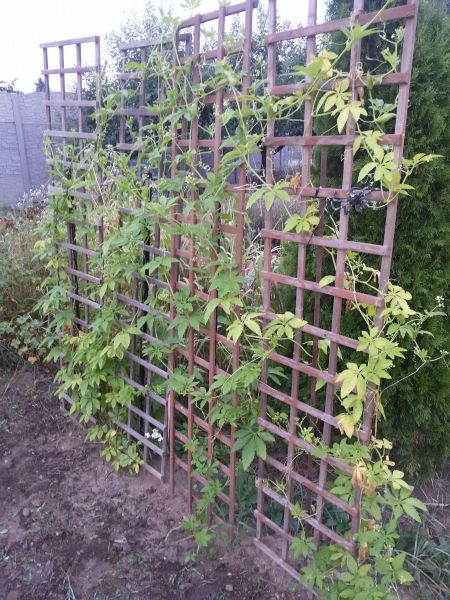 20190730_054528