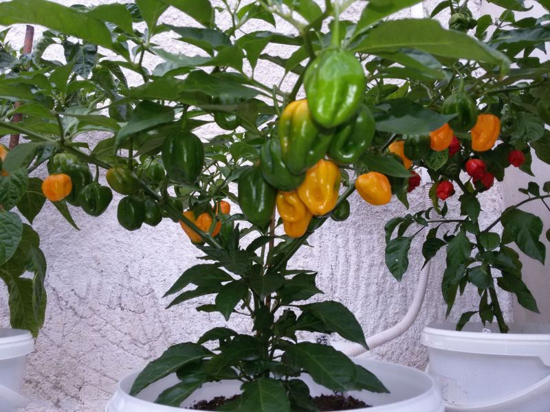 20190731_152249