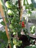 IMG_20190801_150149