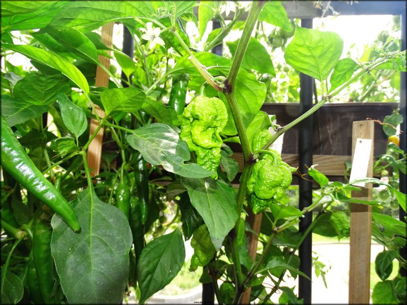 DSC05506