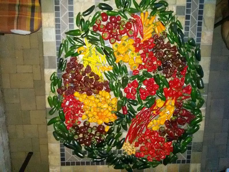 Mandala