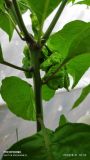 IMG_20190809_101634_1