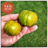 IMG_20190811_114636-01