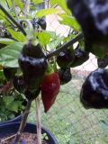 IMG_20190812_155034