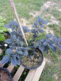 IMG_20190812_160305