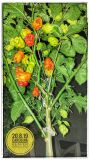 IMG_20190820_204016-01