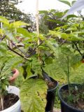 IMG_20190822_145614