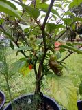 IMG_20190822_145619