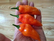 IMG_20190918_144522