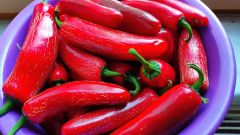 IMG_20190919_165224