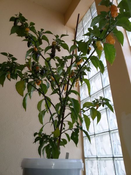 20191013_143519