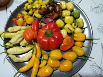 IMG_20191022_185947