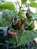IMG_20191026_154315