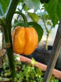 IMG_20191026_154343