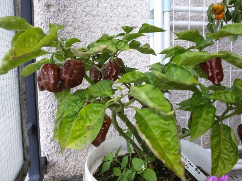 20191025_124239
