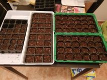 IMG_20200124_182249