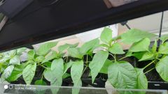 IMG_20200229_133822