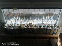 IMG_20200313_121746