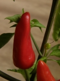 P9070284