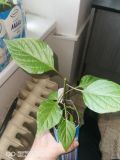 IMG_20200410_143509
