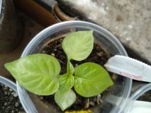 IMG_20200414_164720