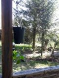 IMG_20200430_185106_961