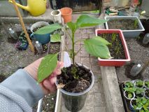 IMG_20200504_123251