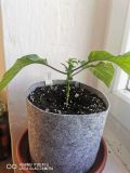 IMG_20200422_192020