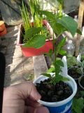 IMG_20200514_161035