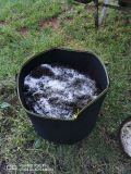 IMG_20200526_182153