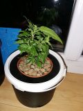 IMG_20200616_210203