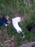 IMG_20200622_181558