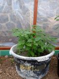 IMG_20200630_173535