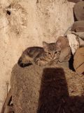 IMG_20200704_012632